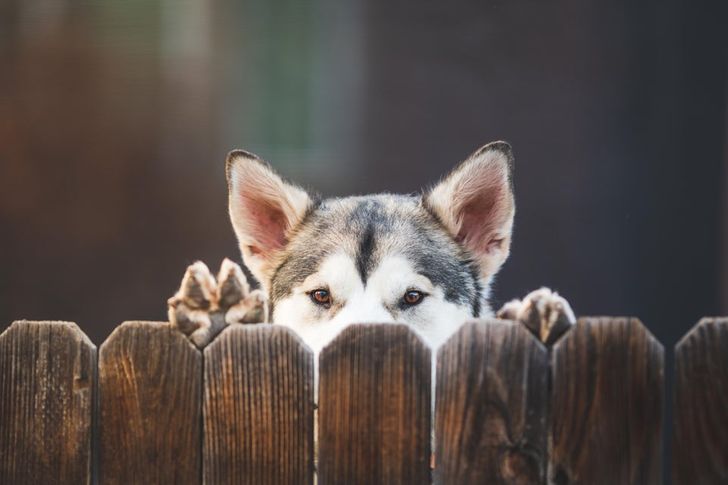 64697151a1b730833489d693b2