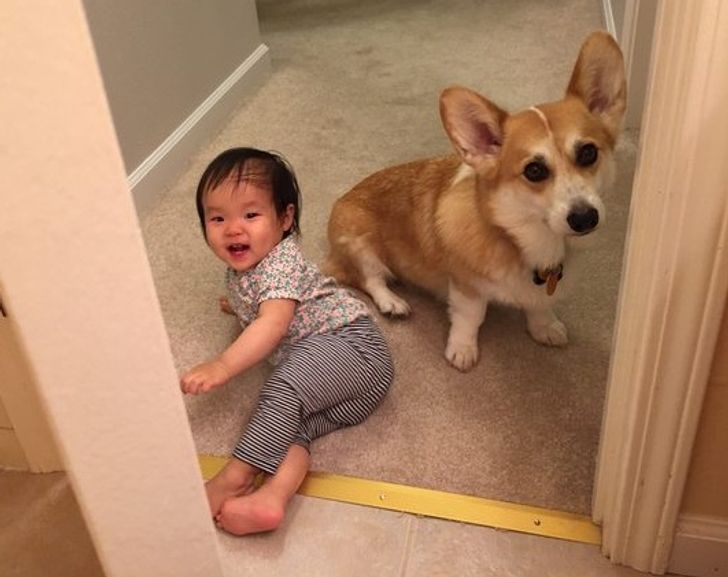 646c685491977431989f5a10d2