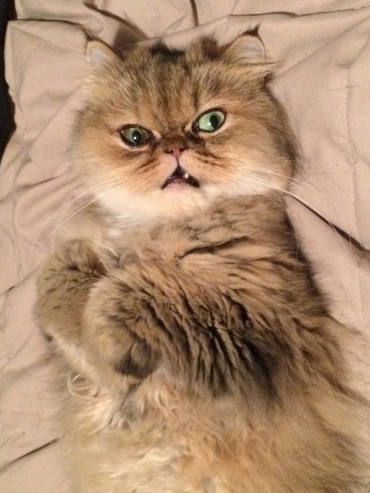 6472585ce4a0e348d645593825