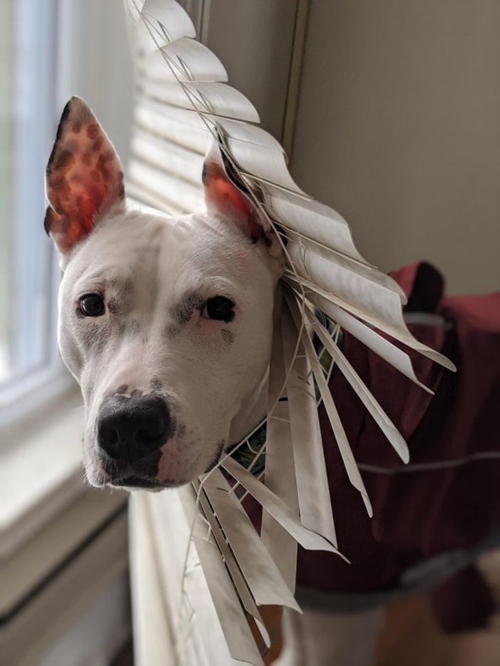 64729e574eb6c689ca768649d1