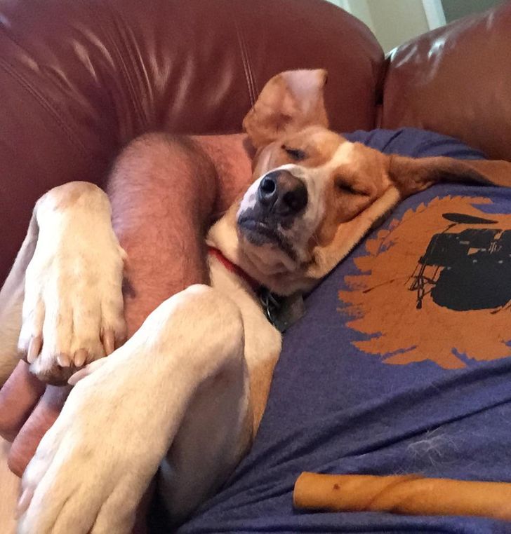 647bf25db880a56a65a4fb1dff 647bf25db880a56a65a4fb1dff