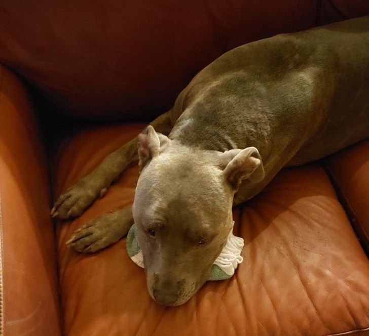 647c185e9aab5b0fd8bfe1e431