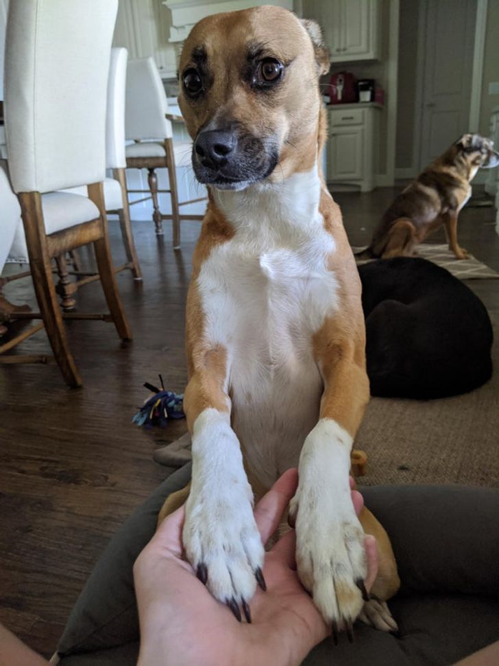 647dba5ca496d3993a1fb37db1