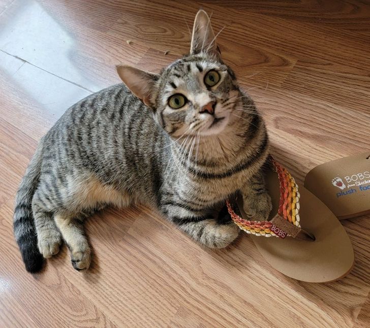 6480dd52a2a009f55003ef3e55