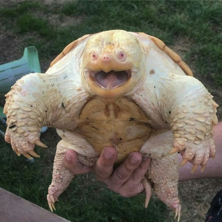 6484465b6185d885e0bf806401