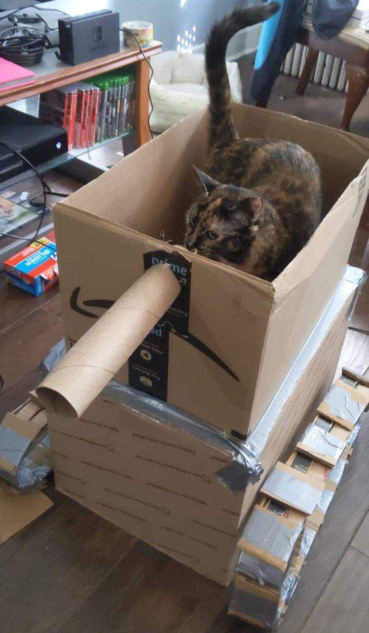 6491045fa4b34f0474603eca69