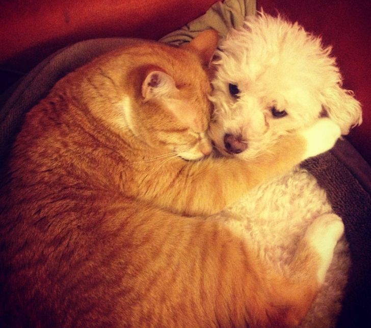 6493445479877735065333bb8d