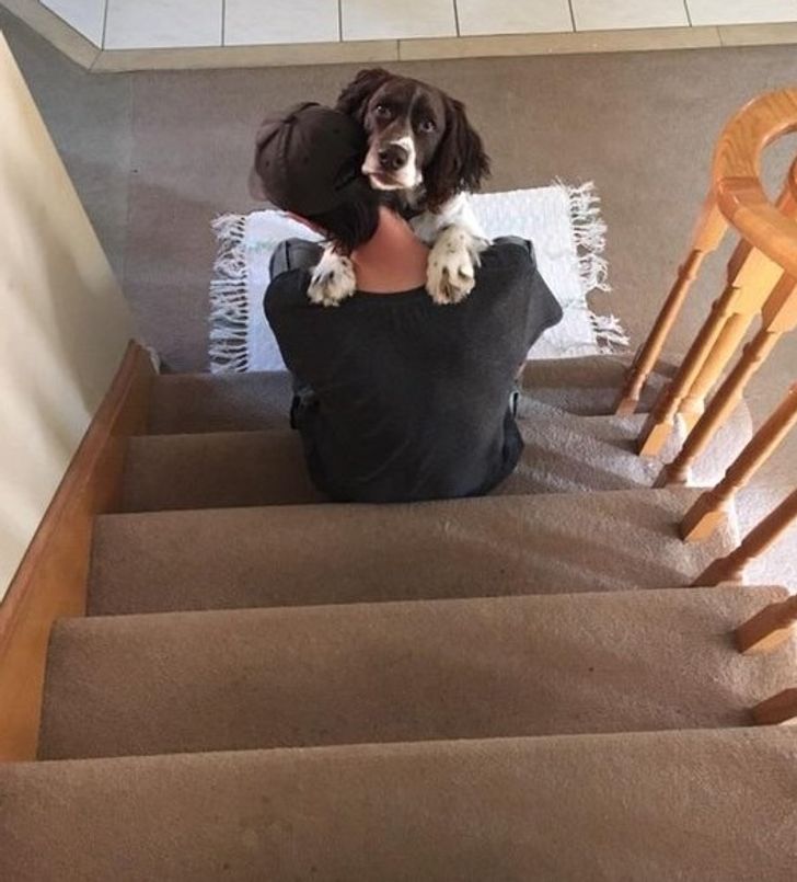 649bb85ac6ad341efc84e95ebb