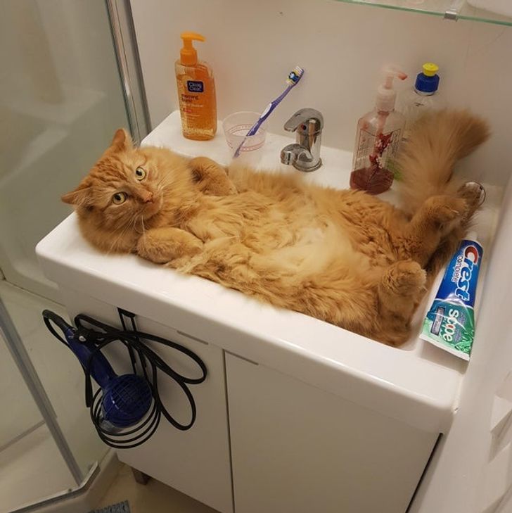 64a4ac5a8cbe85344bf62b8e6a