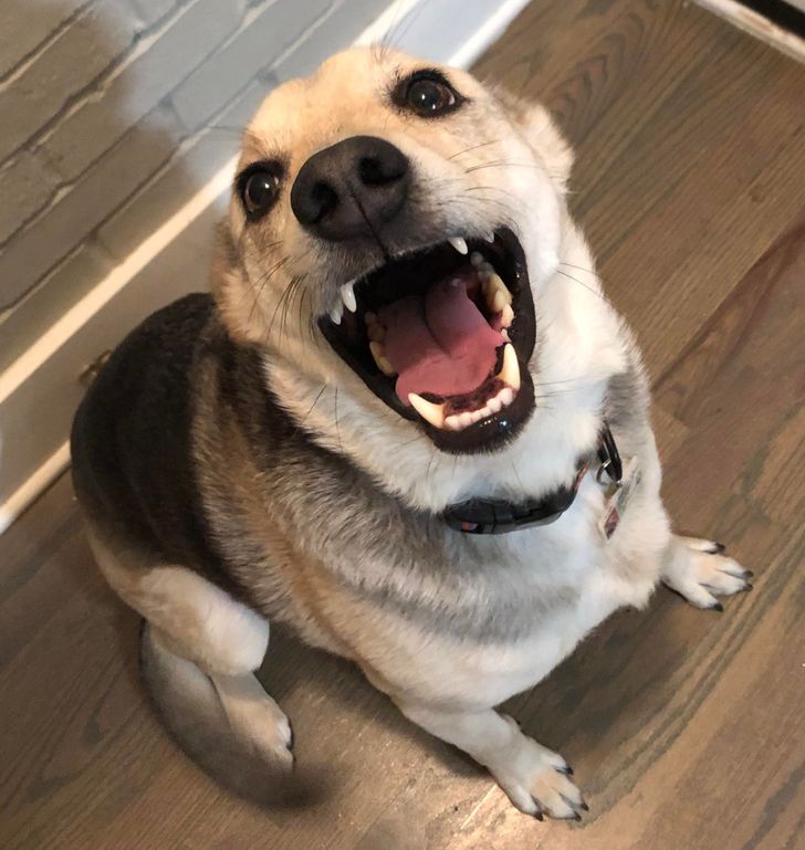 64ab9f554eba6fa1a6d9158c5e