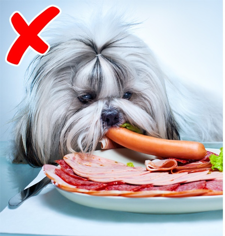 64ac185d79ac4f9dd3a391ddb2