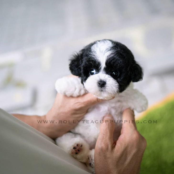 64ad07574f8f2216b030a461ed