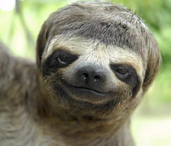 64b26a502e86943c5ab76610a5