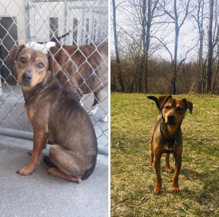 64b41257f2915555b529f1bab0