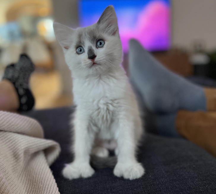 64b4c5541f9c25c9e54a5f4f5b