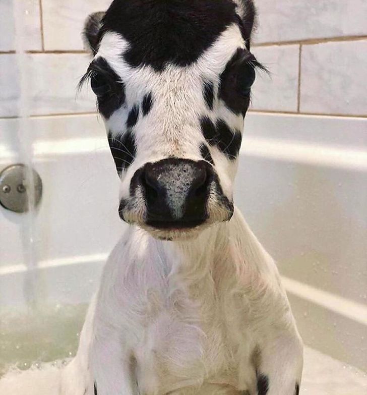 64b50851b08caea95c10314d6e