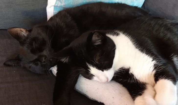 64b7425724941a58ed5c3d50e9