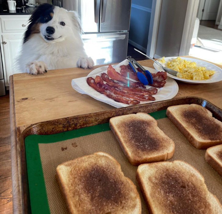 64bafb51deb75b5a37b51e2d28 64bafb51deb75b5a37b51e2d28