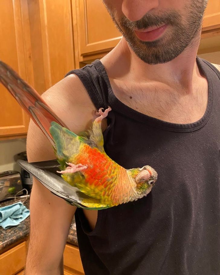 64c091521789cf3e064ab33e7a