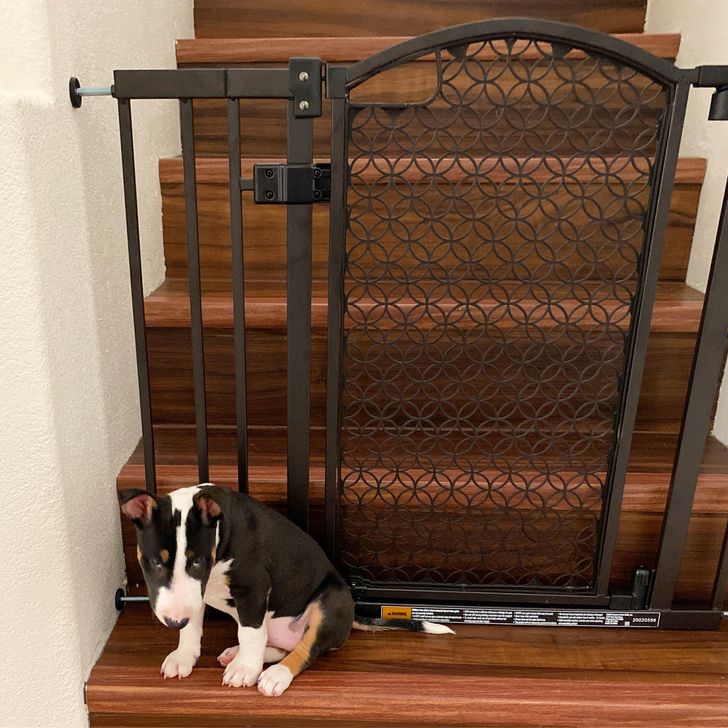 64c3b85f47a7f827b4935e403f