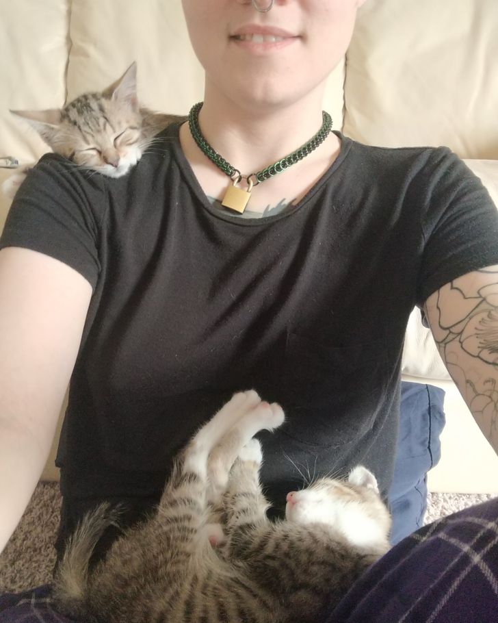 64cc5359d08365f84f3c3b496a