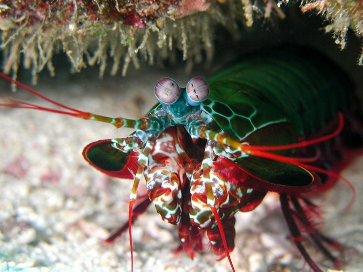 64cfec5db0a57183cf5f59858d