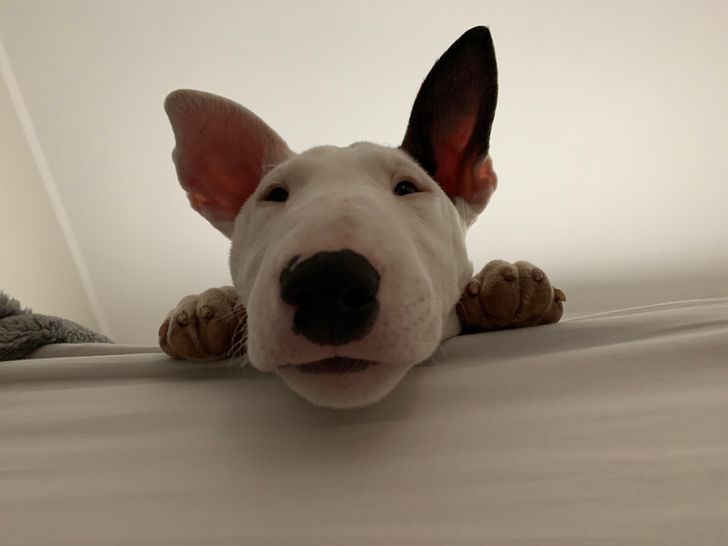 64d9ae51cbb8b602d545345ee1