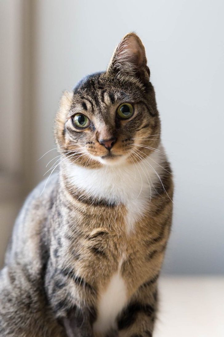 64dbd15bc7856d92648b6cda04