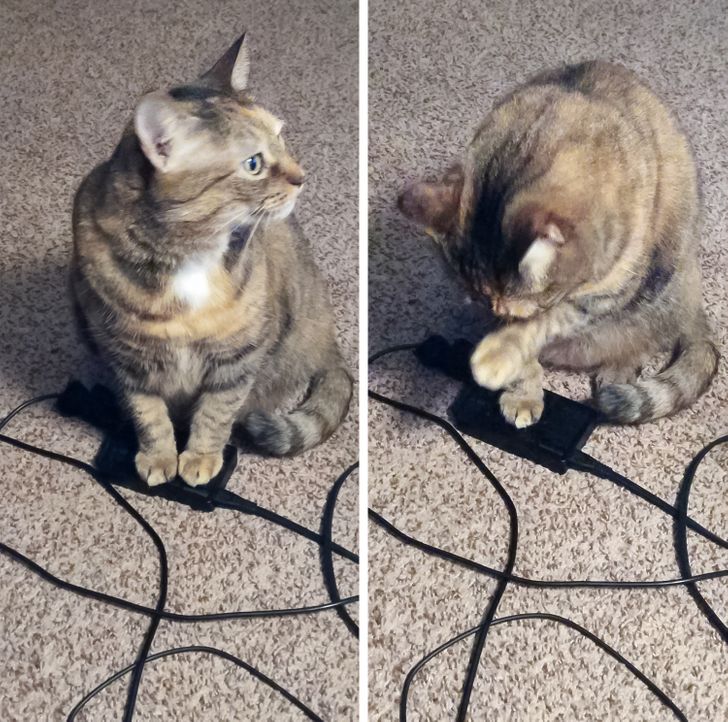 64dc93590782bf88c366a17bfb