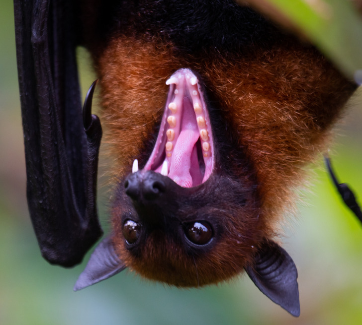 64dfc25a068bcf9529f8306860