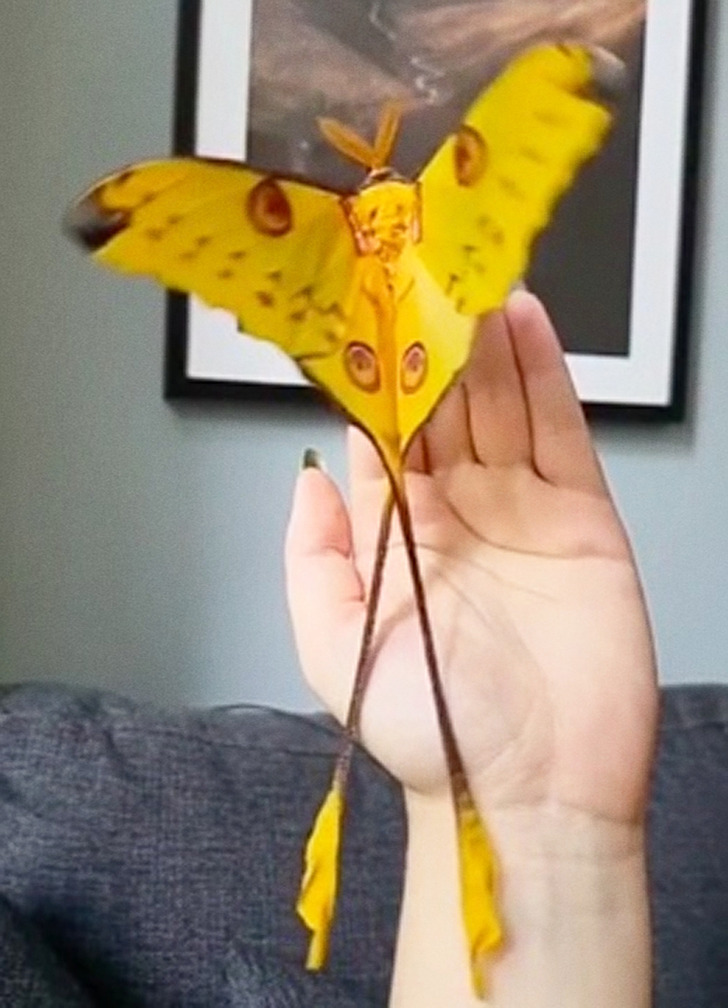 64efc3542daa2884fb12d31e34