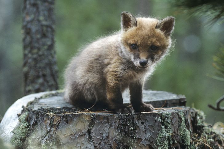 64f99352cc932ba8aa125f3aea