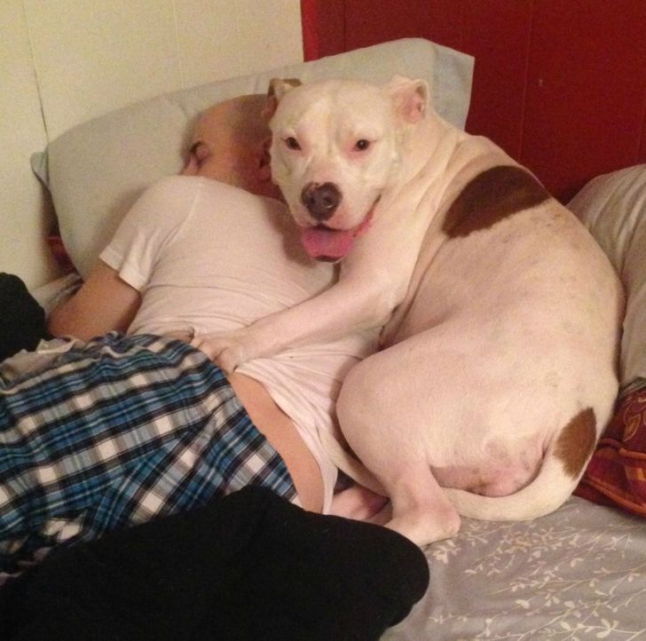 64fd2b5283afc6a1523544691b