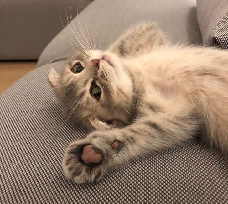 650be057d4b02d96422c86c703