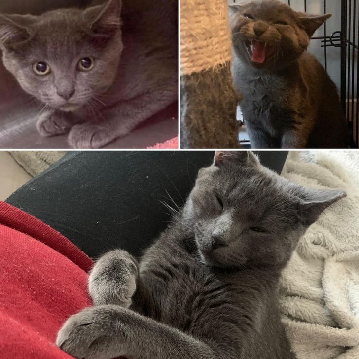 6510415f818a3715a1d9cfa0fa