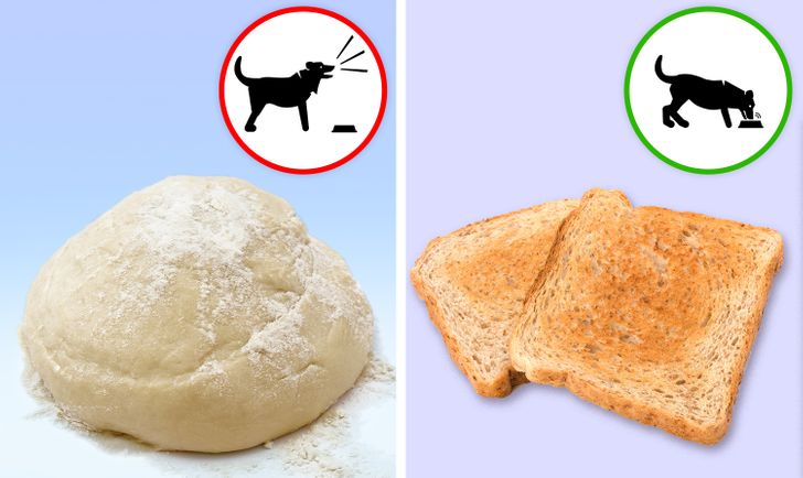 65138f5217b306ac81c3fa26bb