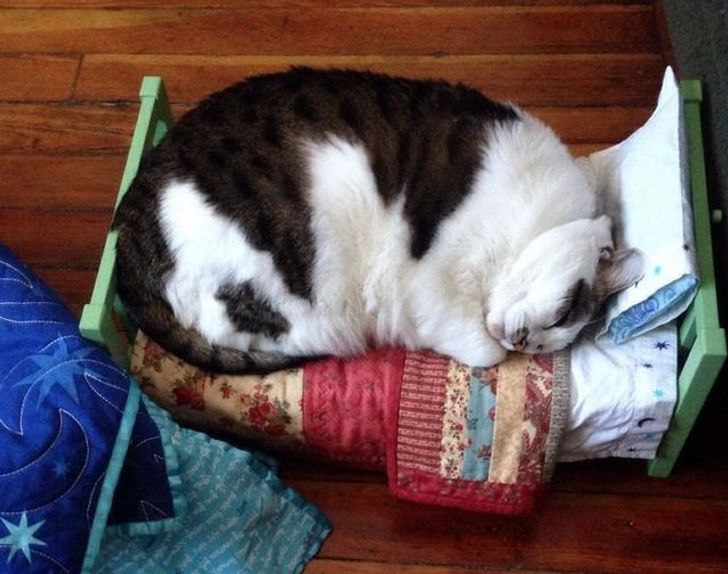 65244459b088f18c358022b79d 65244459b088f18c358022b79d