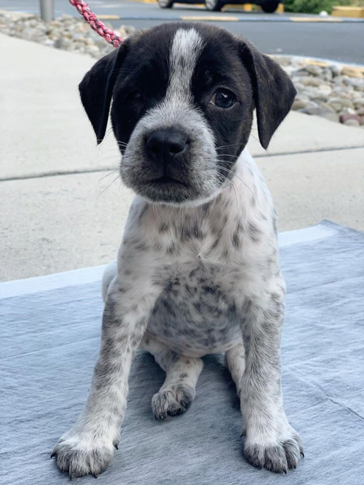 652bbb5eaf84f03ffbc8a07447