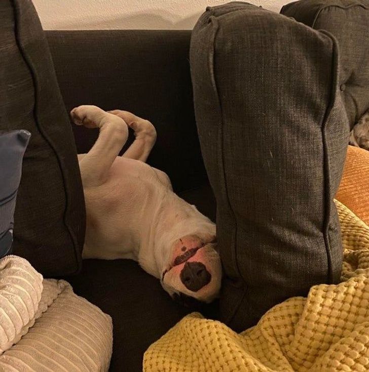 652bbc557cab52eea82669f053