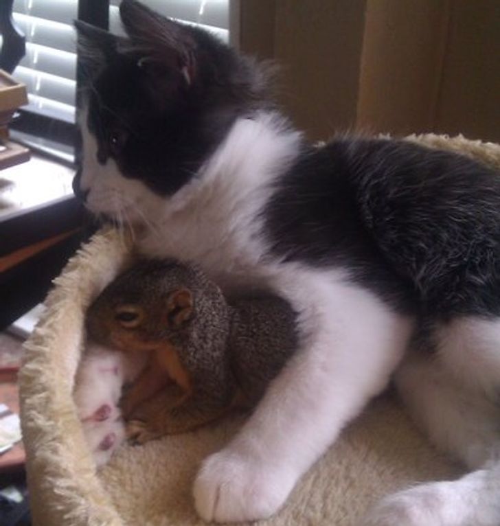 652c4855dc8125912aba57a540