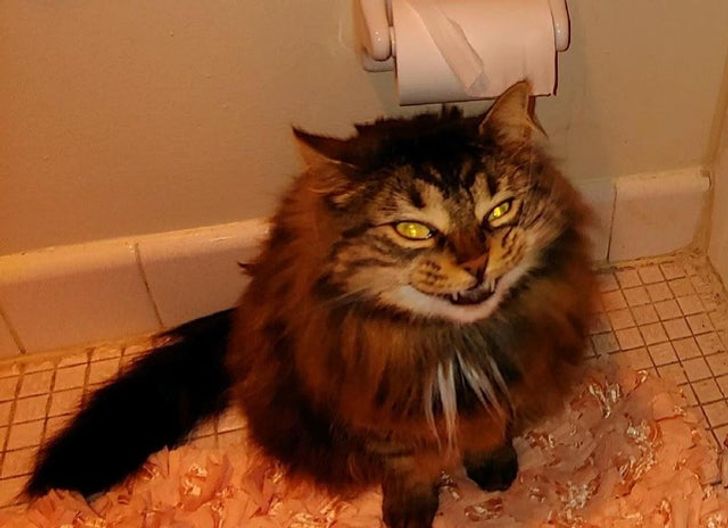 652f68590f961aba60c3f04346