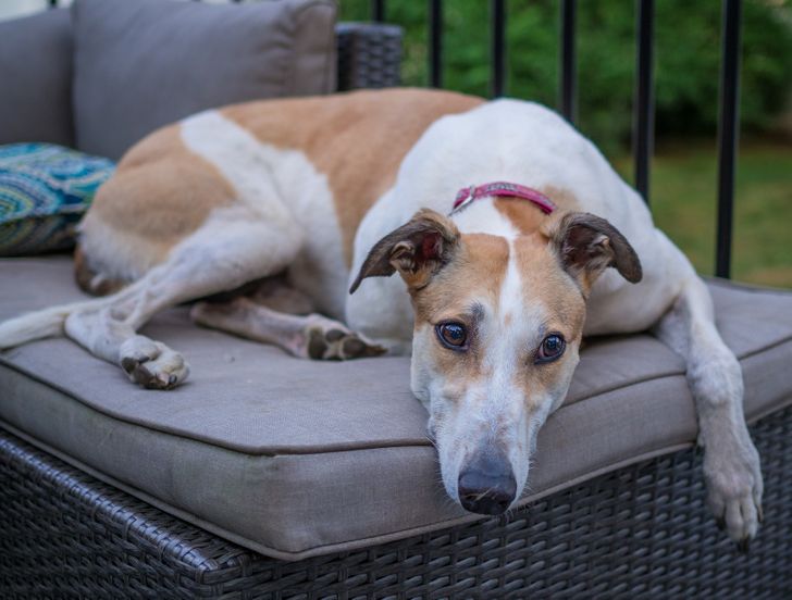 6533b15013a3516be773cfdc2c