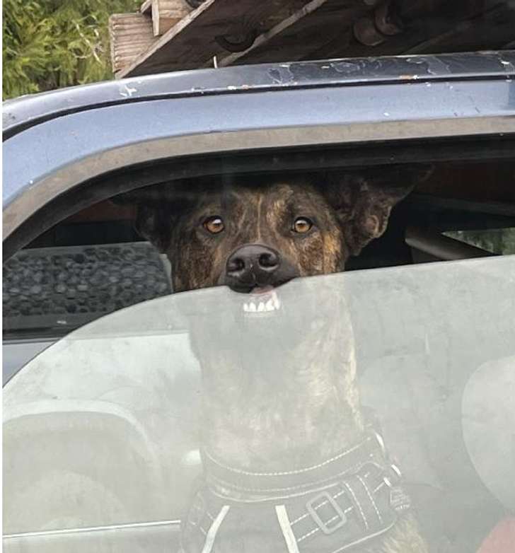 6536eb5038b1cec05c1783de4a 6536eb5038b1cec05c1783de4a