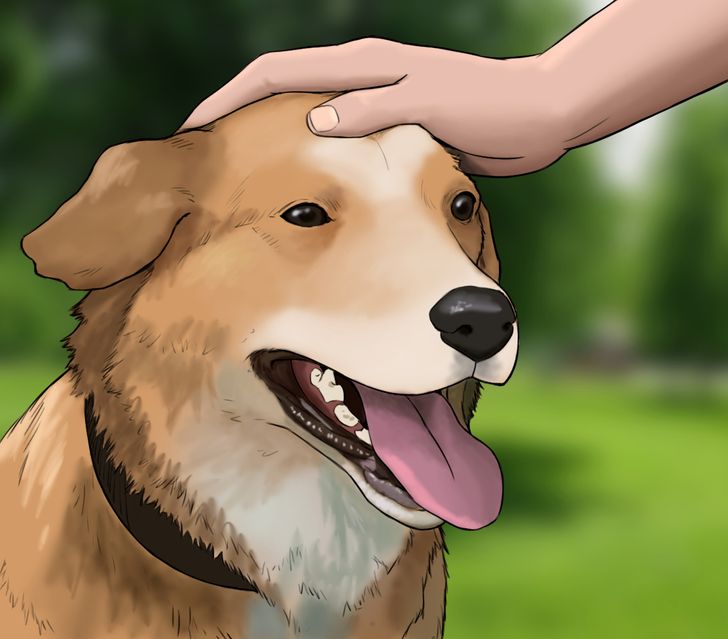 6539b1592eb2d67a3b442d332b