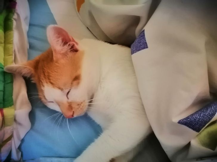 654f8450cf9e039fa7c15446bf