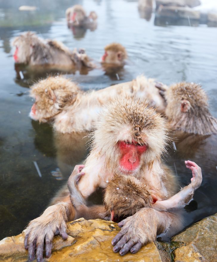 65531a541eb5d11b1d38972675