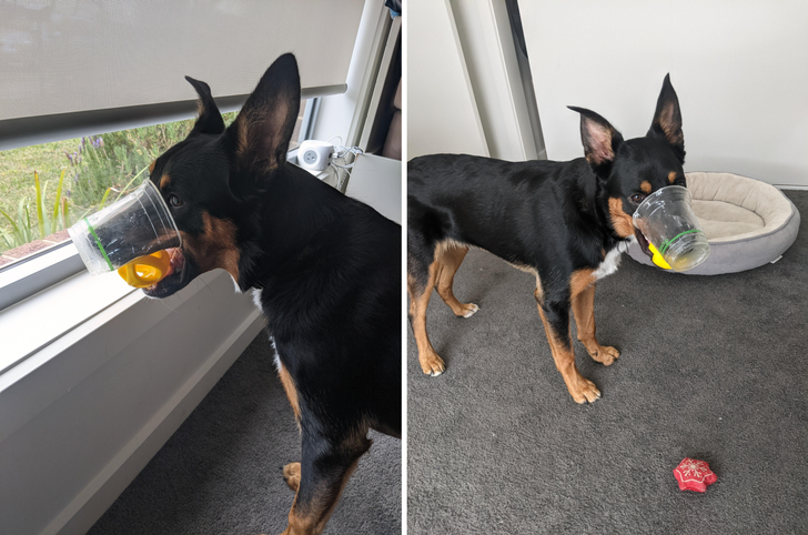 6553715935acf0971afe3f3c08