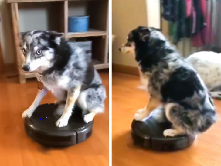 6558ca5bdfb07449f1ae36b1cd