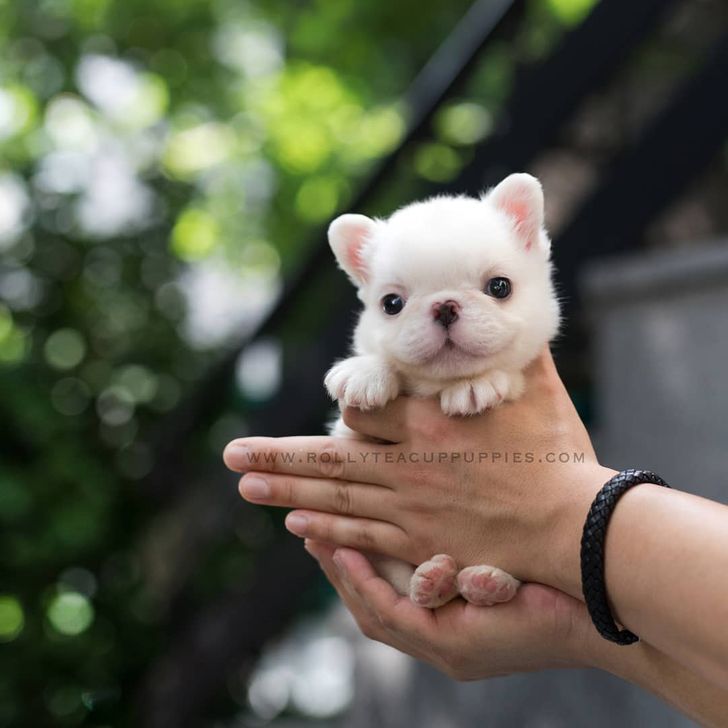 6559045d1e803c35247ea6893d