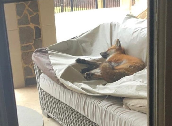 655c545fd5b3985f299f5bd4ec